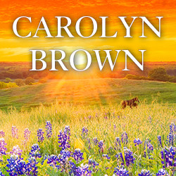 broken roads series by carolyn brown