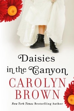 Daisies in the Canyon by Carolyn Brown