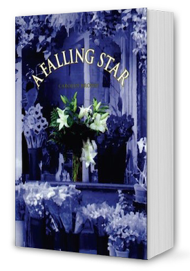 A Falling Star Book Cover