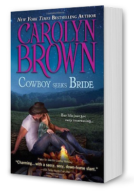 Cowboy Seeks Bride Book Cover