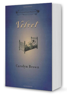 Velvet Book Cover