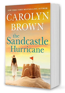 The Sandcastle Hurricane Book Cover